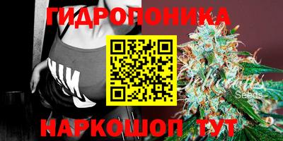 apvp Обнинск