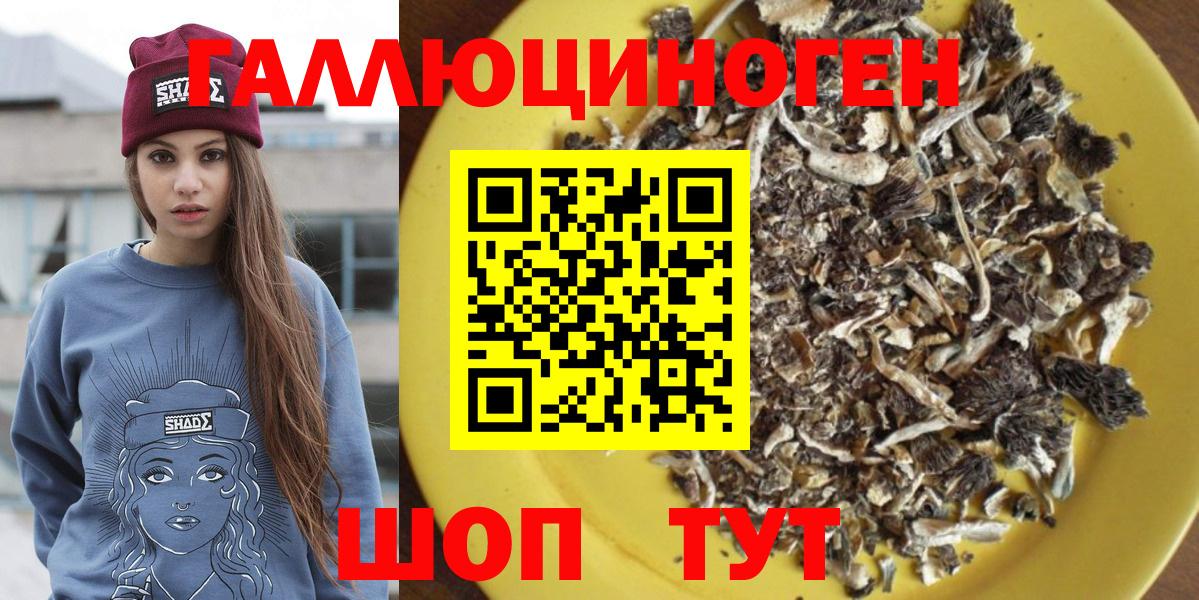 Псилоцибиновые грибы Cubensis  Вход с VPN  Партизанск  Галлюциногенные грибы GOLDEN TEACHER 